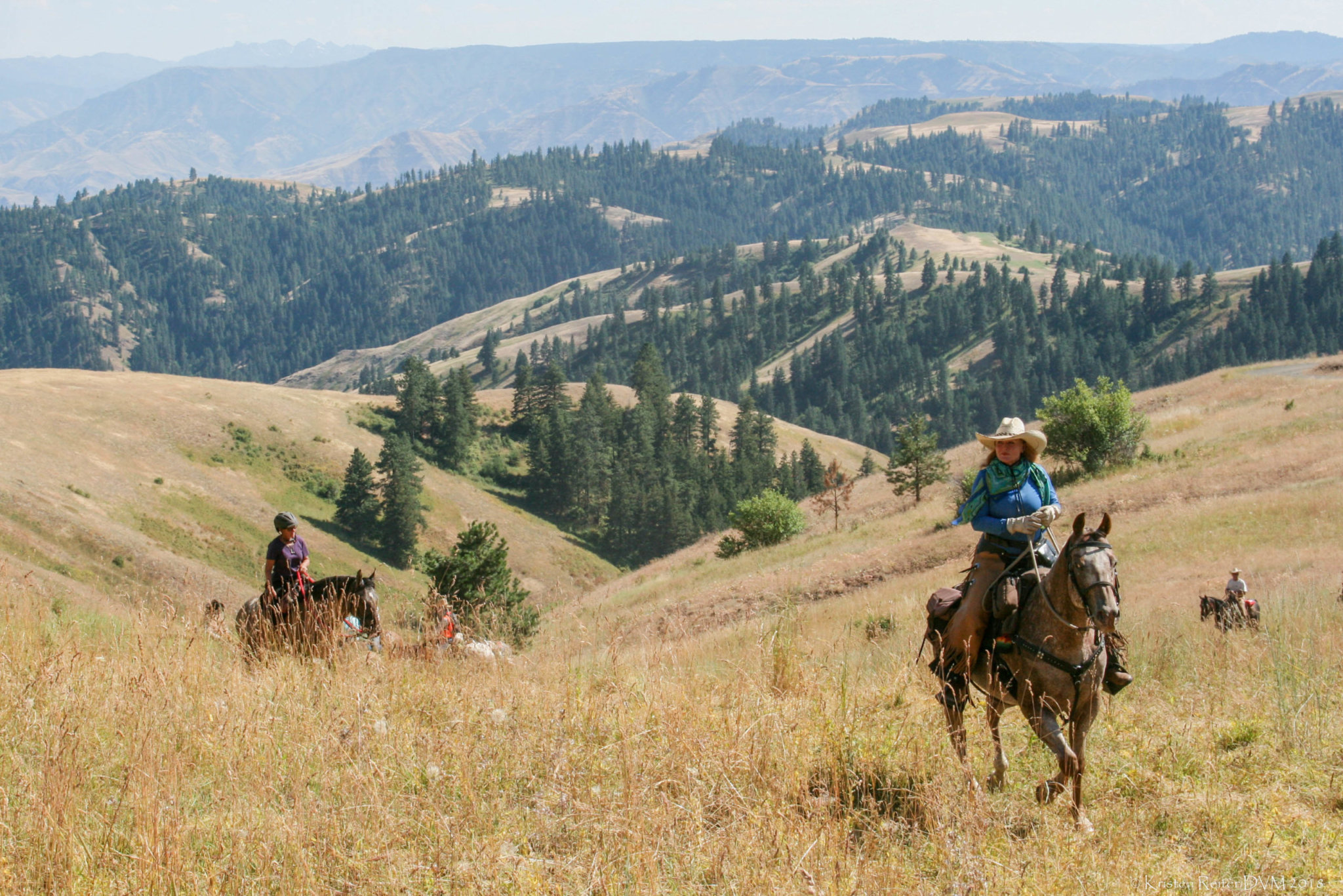 The Chief Joseph Trail Ride The Northwest Horse Source