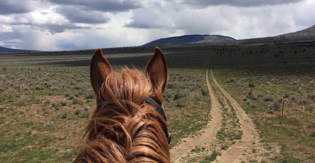 Cyrus Horse Camp and The Crooked River National Grasslands Equestrian Lifestyle The