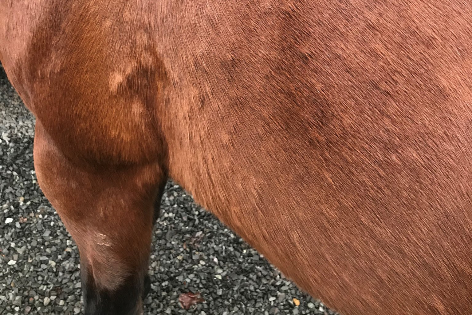 Negotiating the Bumpy Road of Allergies Find the Cause to (Hopefully