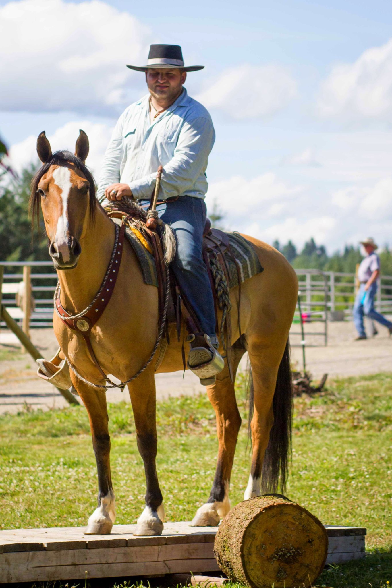 Understanding Pressure Three Forms of Pressure in Horse Training