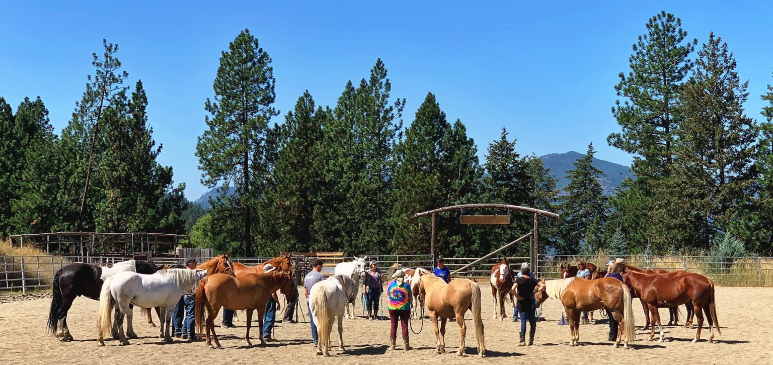 Steve Rother Horsemanship: 3-Day Liberty Weekend at Horse Creek Ranch ...