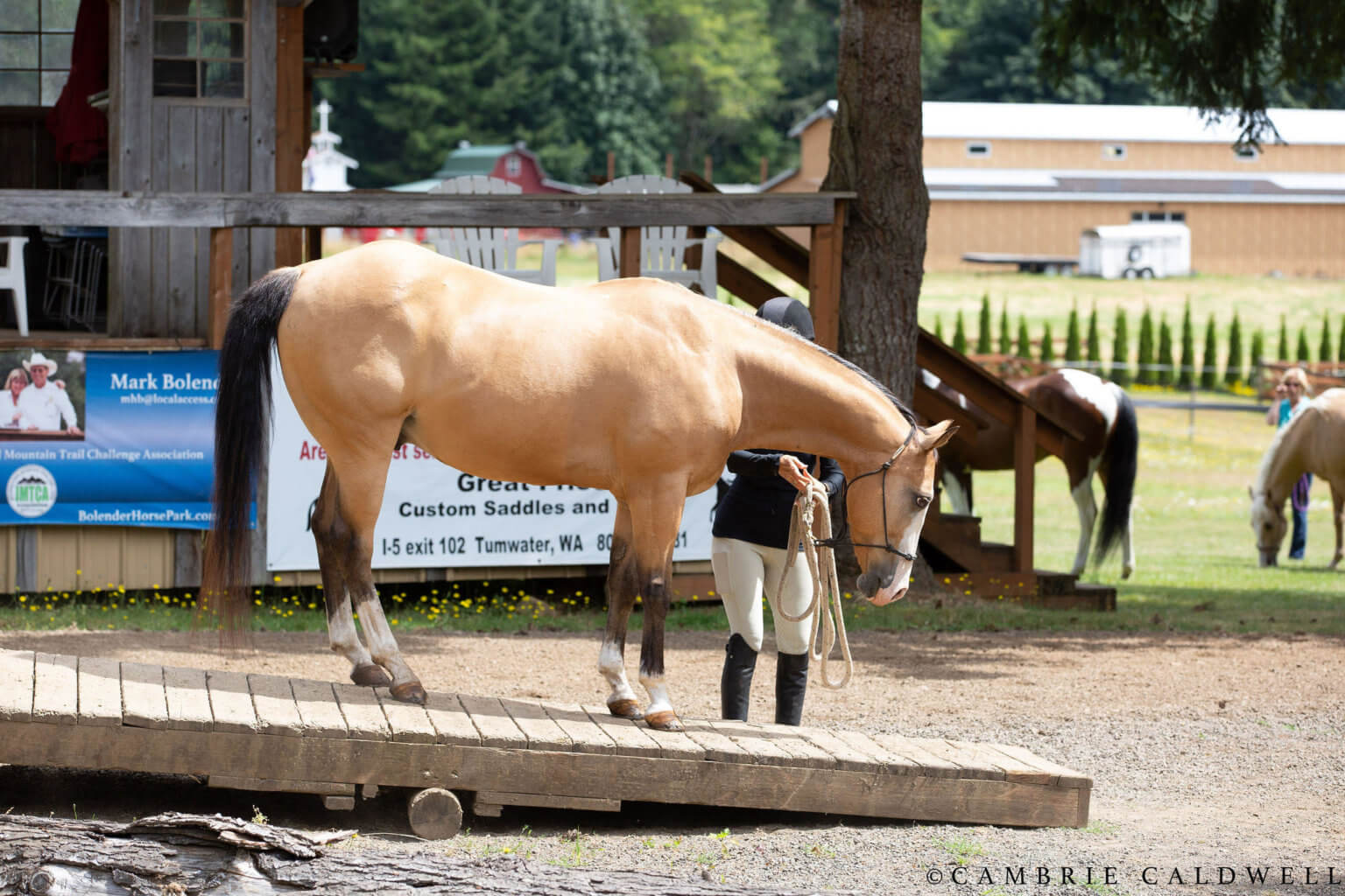 Trail Obstacle Problem Solving with Mark Bolender the
