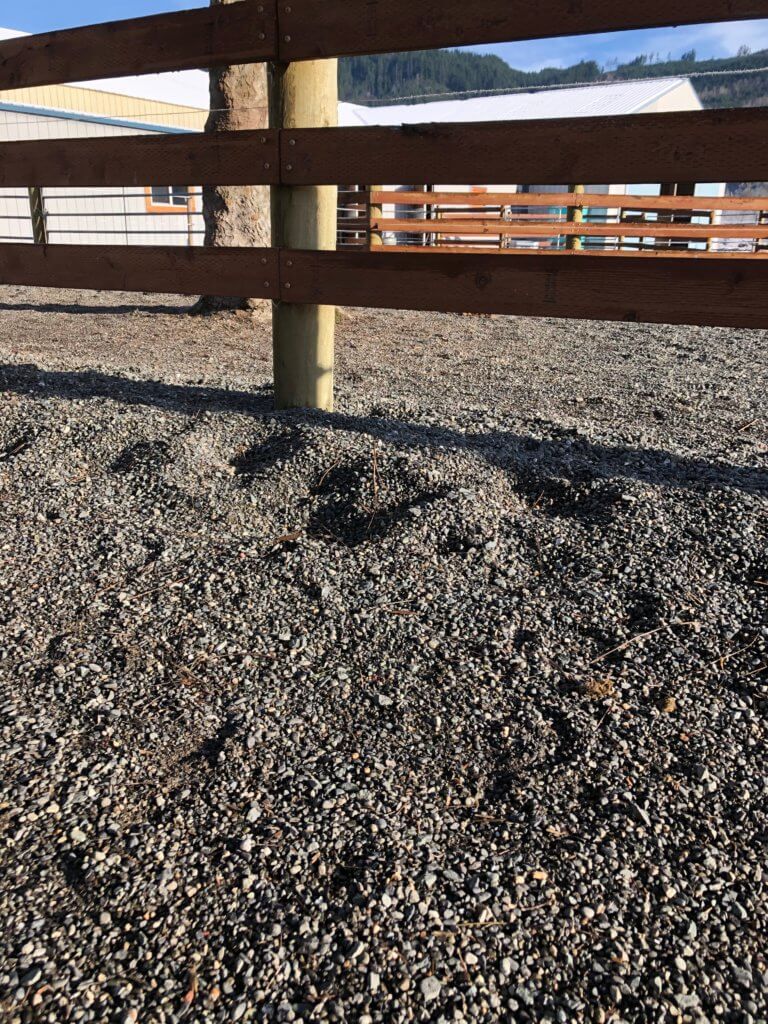 The Scoop On Gravel Footing Choices For Mud Free Paddocks Articles