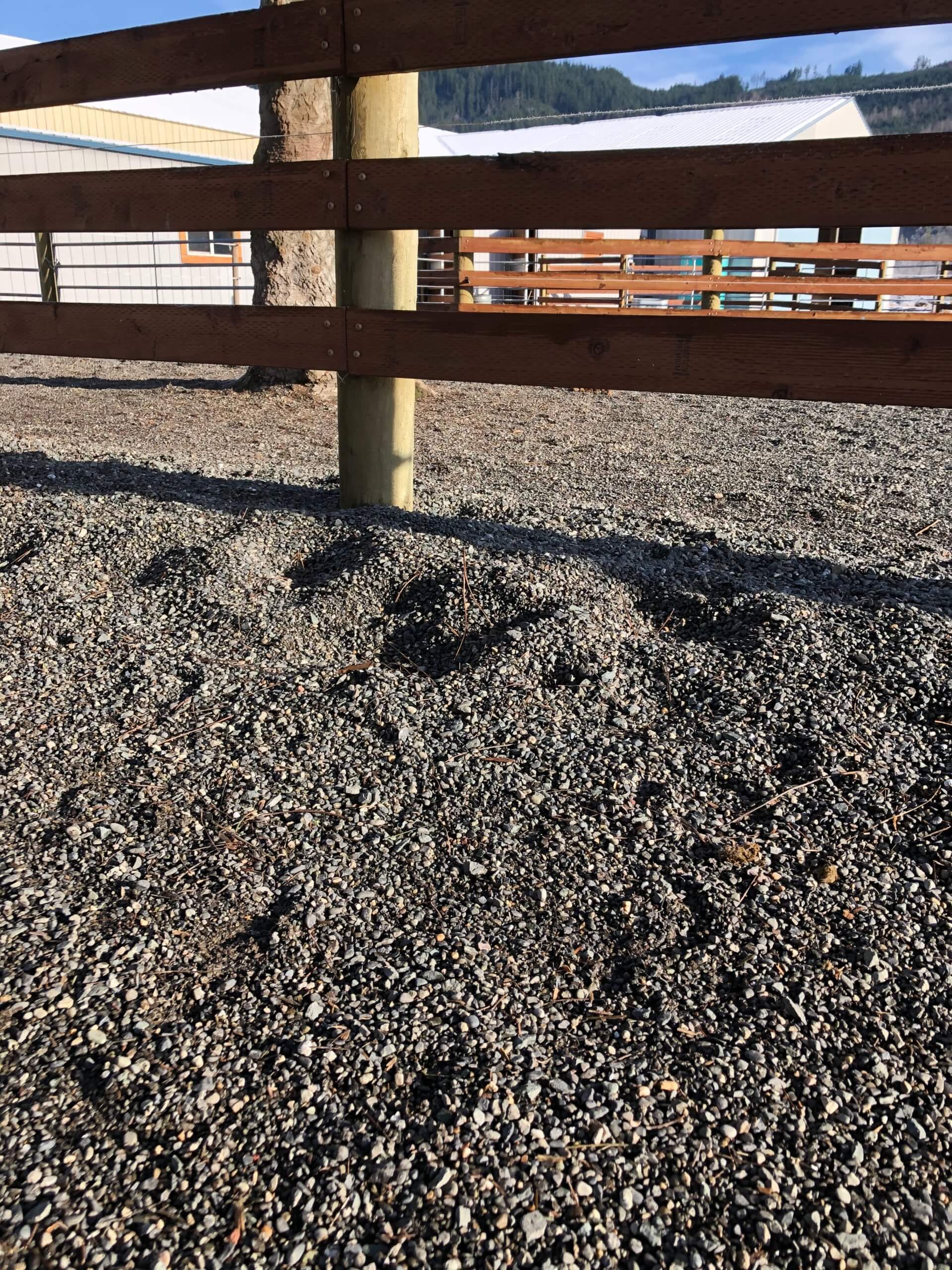 The Scoop on Gravel Footing Choices for MudFree Paddocks Articles