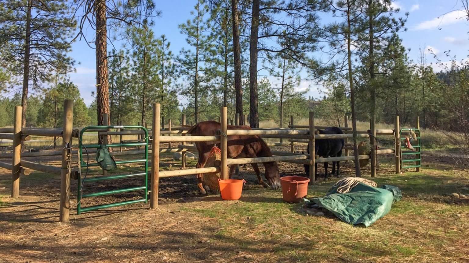 Front Country Horse Camping What to Know Before You Go Articles