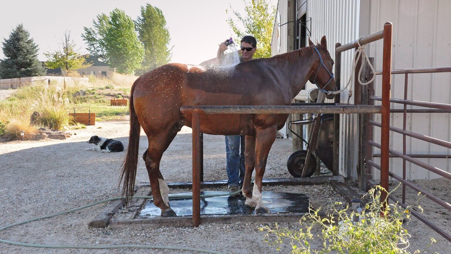 Build an Outdoor Wash Rack - Tips for Happy Horse Bathing Outside 