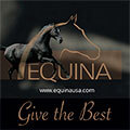 Equina_120x120_Banner