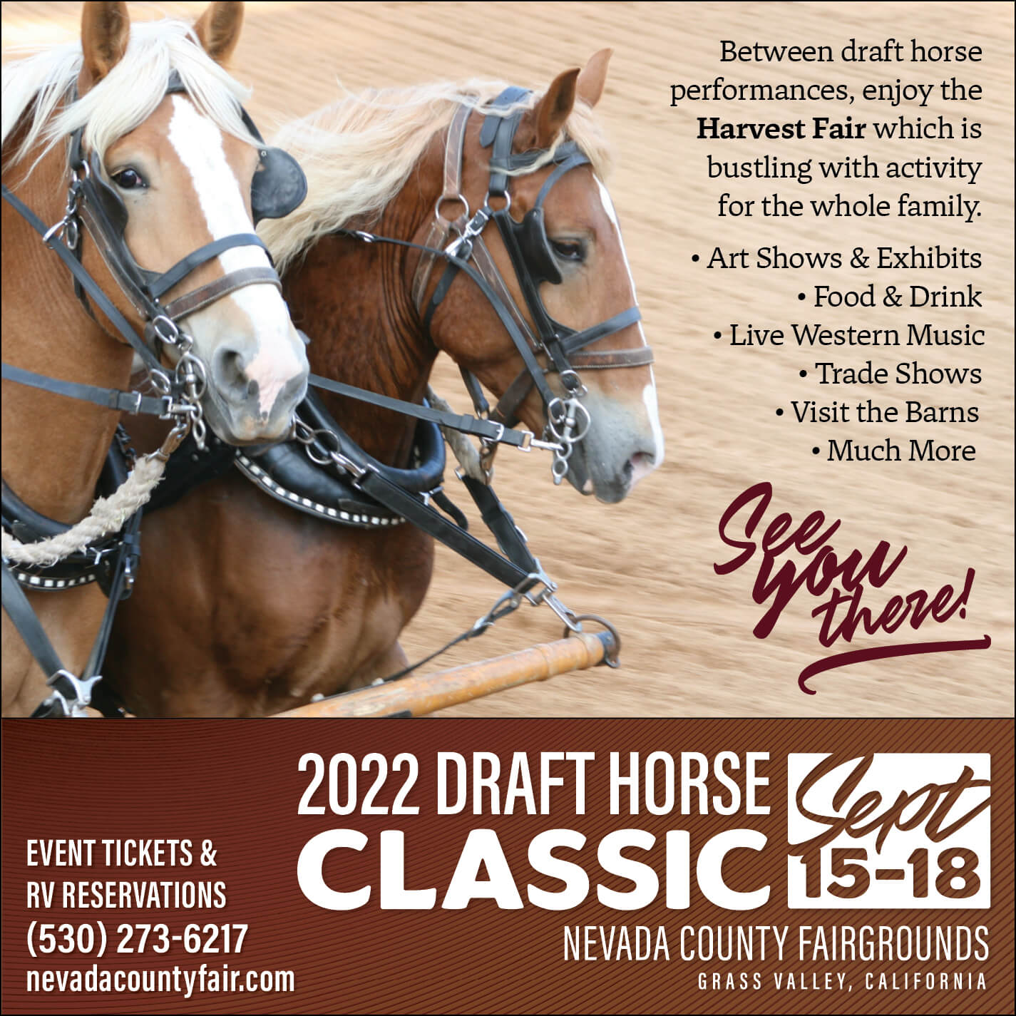 Draft Horse Classic