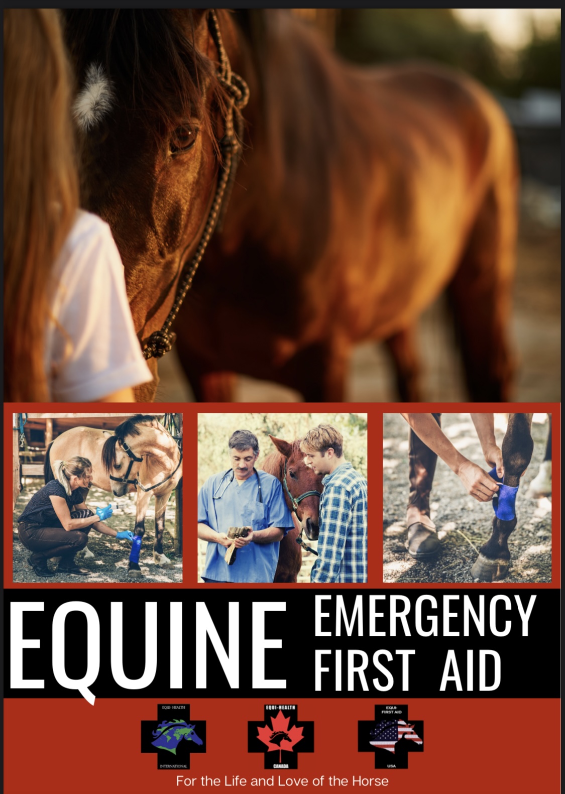 Equine Health and Emergency First Aid