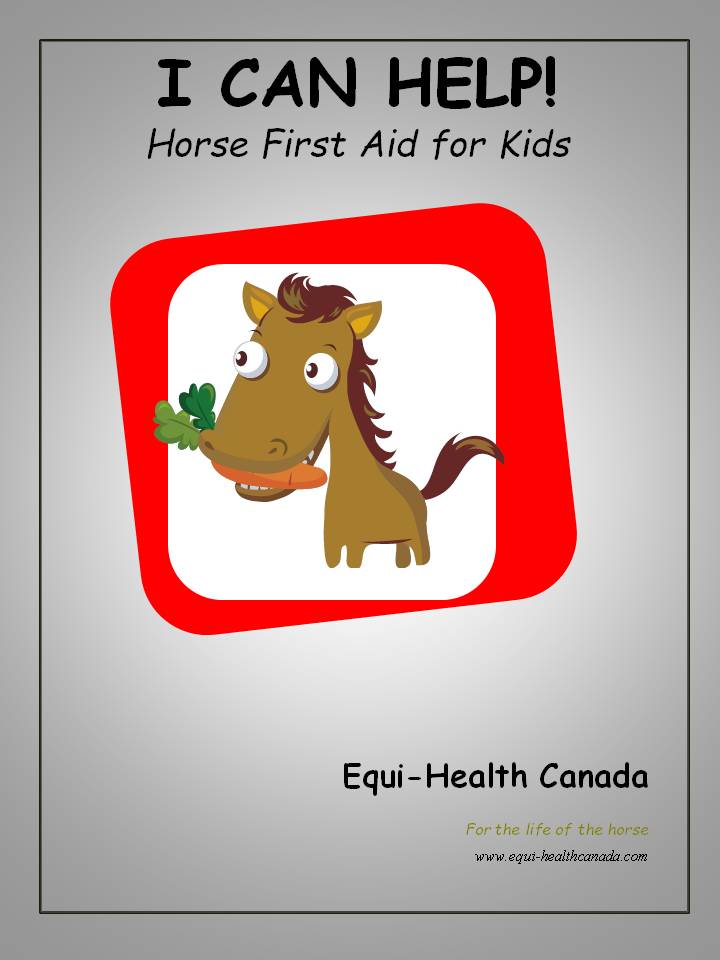 Equine First Aid for Kids