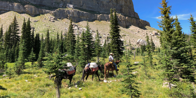  Trail Savvy: Back Country Packing