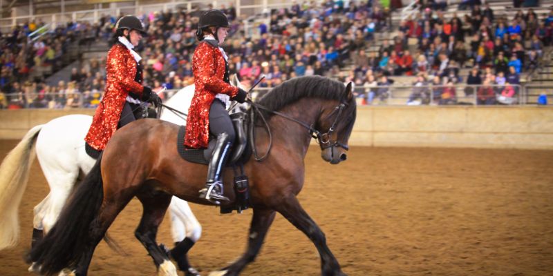 New & Noteworthy: The 22nd Annual Northwest Horse Fair & Expo March 24 - 26 at Linn County Fair and Expo Center