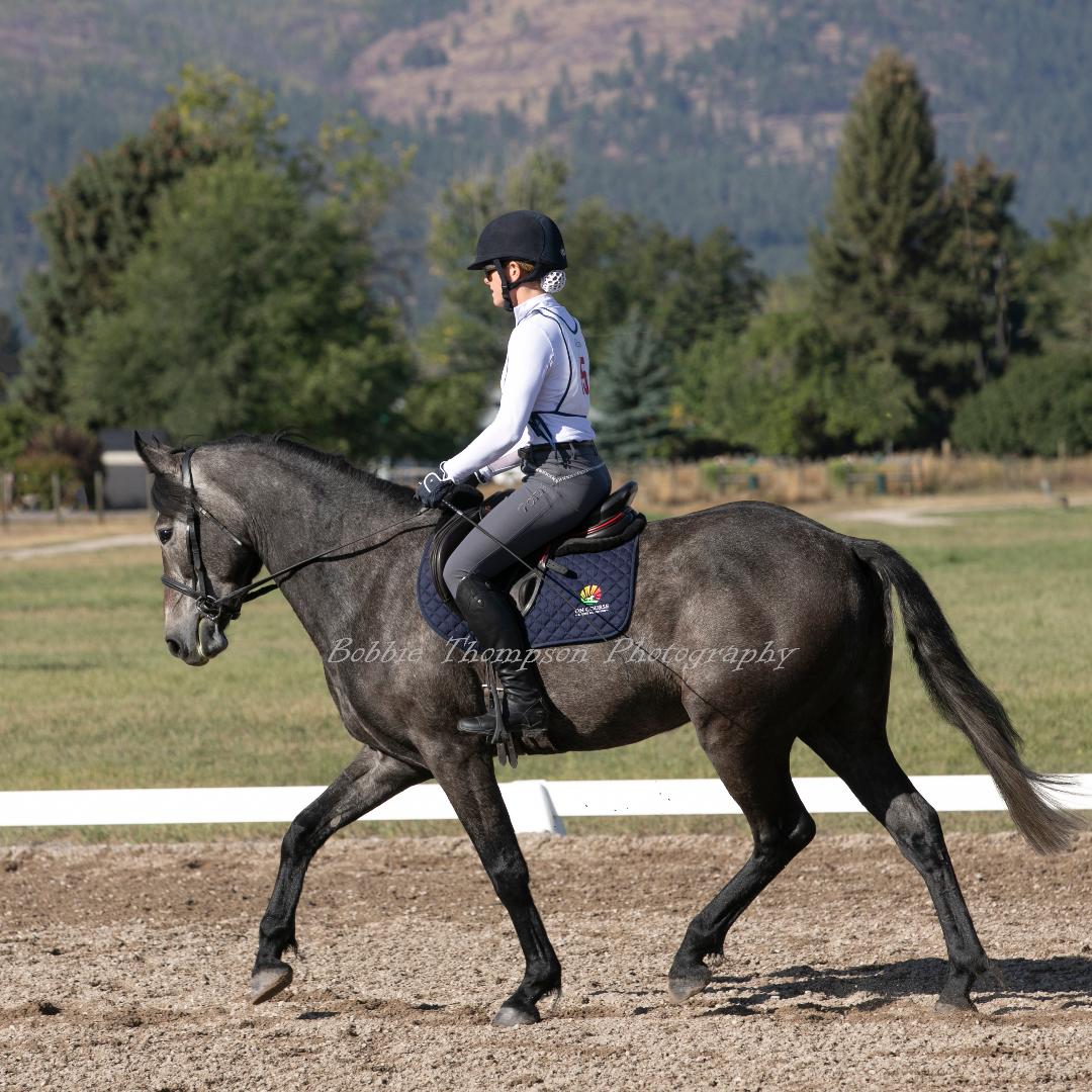How to Prevent Laminitis in the Willamette Valley