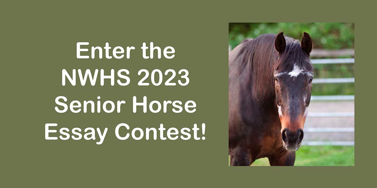 Enter the NWHS 2023 Senior Horse Essay Contest!