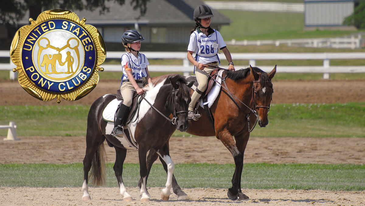 Pony Club Certification Program Archives The Northwest Horse Source