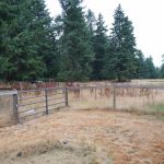 Equestrian Property in the Heart of Rainier