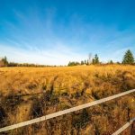 Picturesque Mid-county Hobby Farm