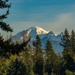 Picturesque Mid-county Hobby Farm