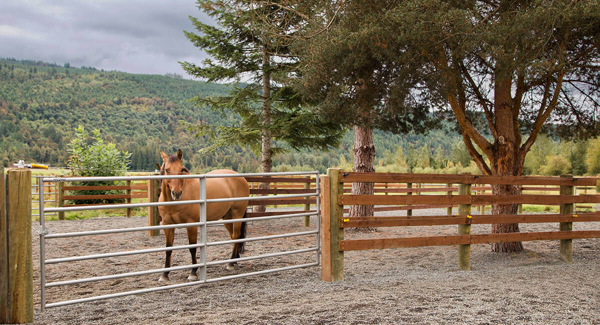 Small Farm Makeover: Fencing Horse Properties