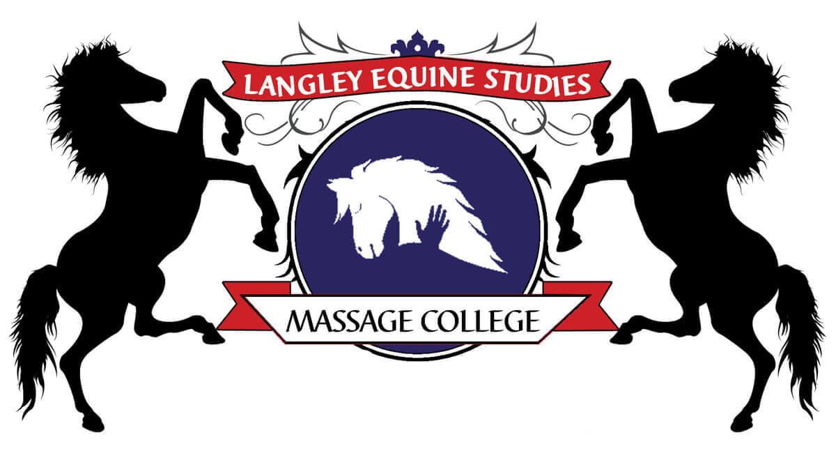 Langley Equine Studies