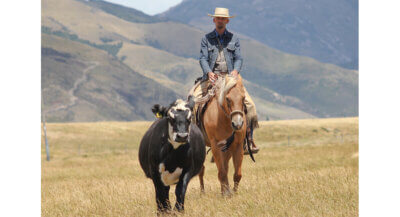 True West Horsemanship