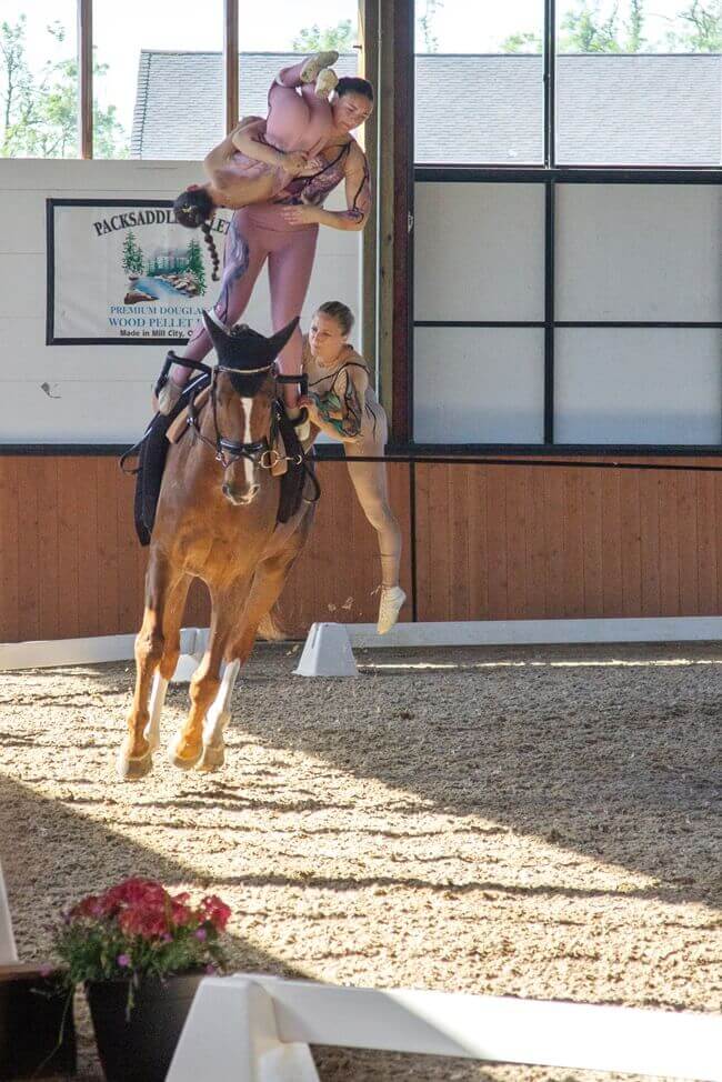 vaulting