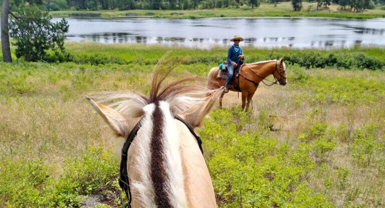 Don't act like a horse