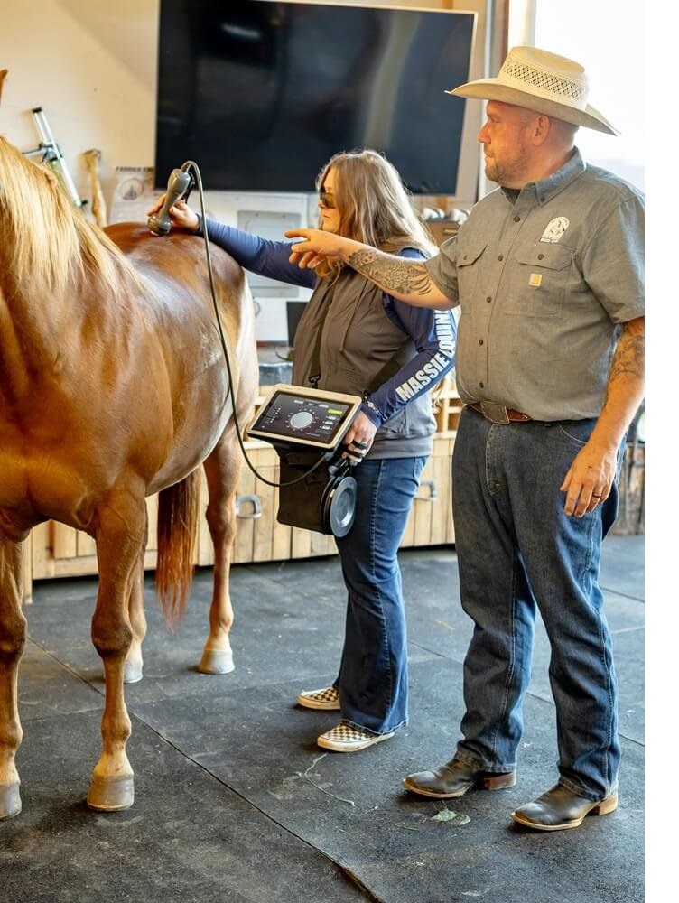 Massie Equine Veterinary Clinic and The Equine Healing Center