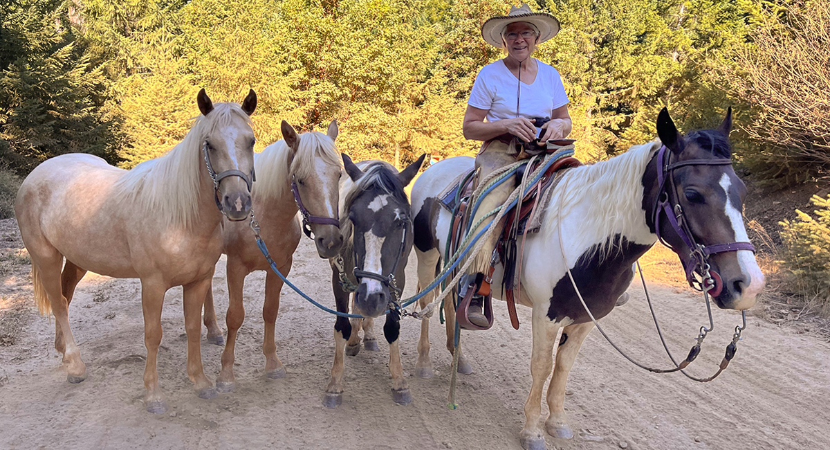 adopting mustangs