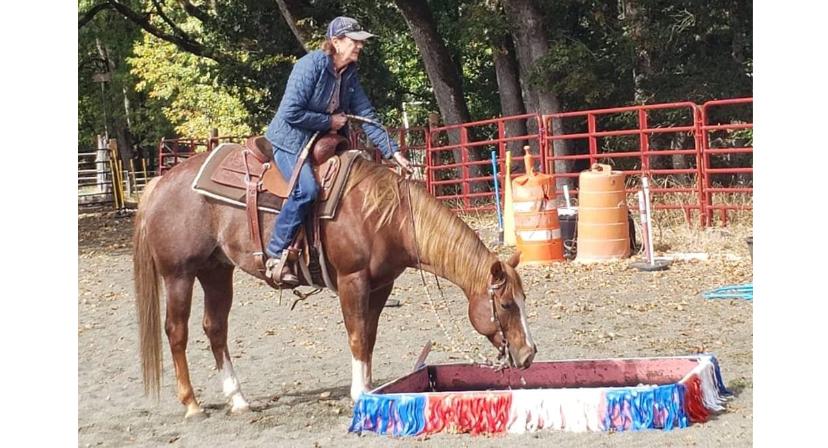 Trail horse competition