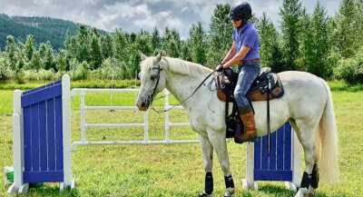 give your horse a job