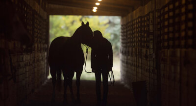 equine health