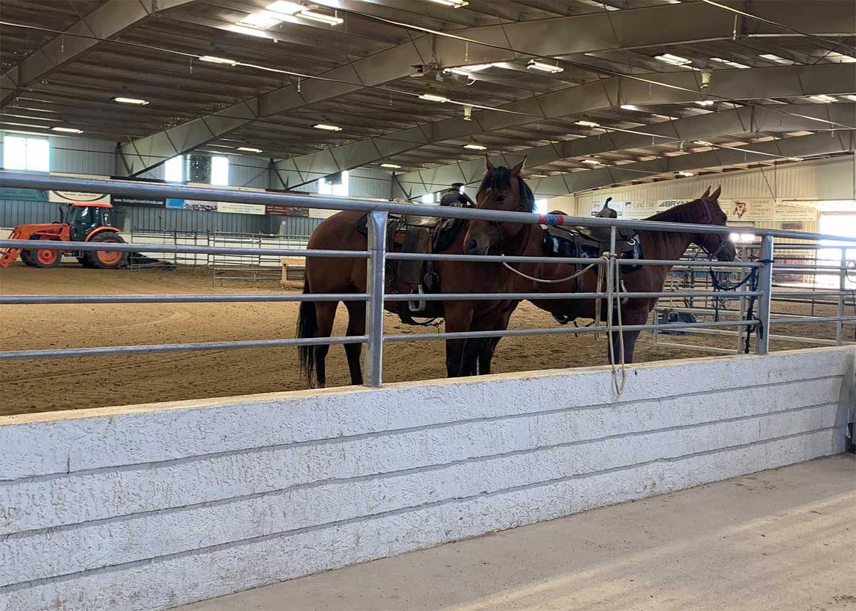 IMG_8314_HorsesAtLatigo