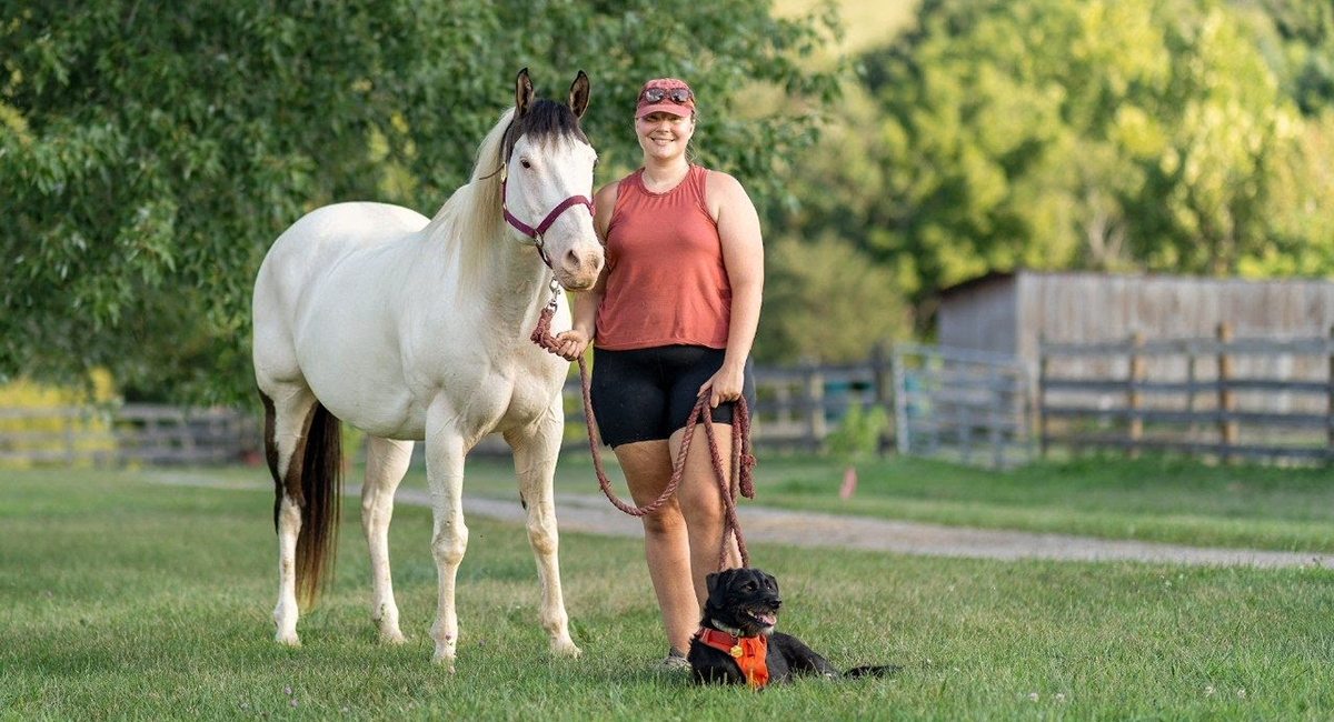 skin cancer in horses