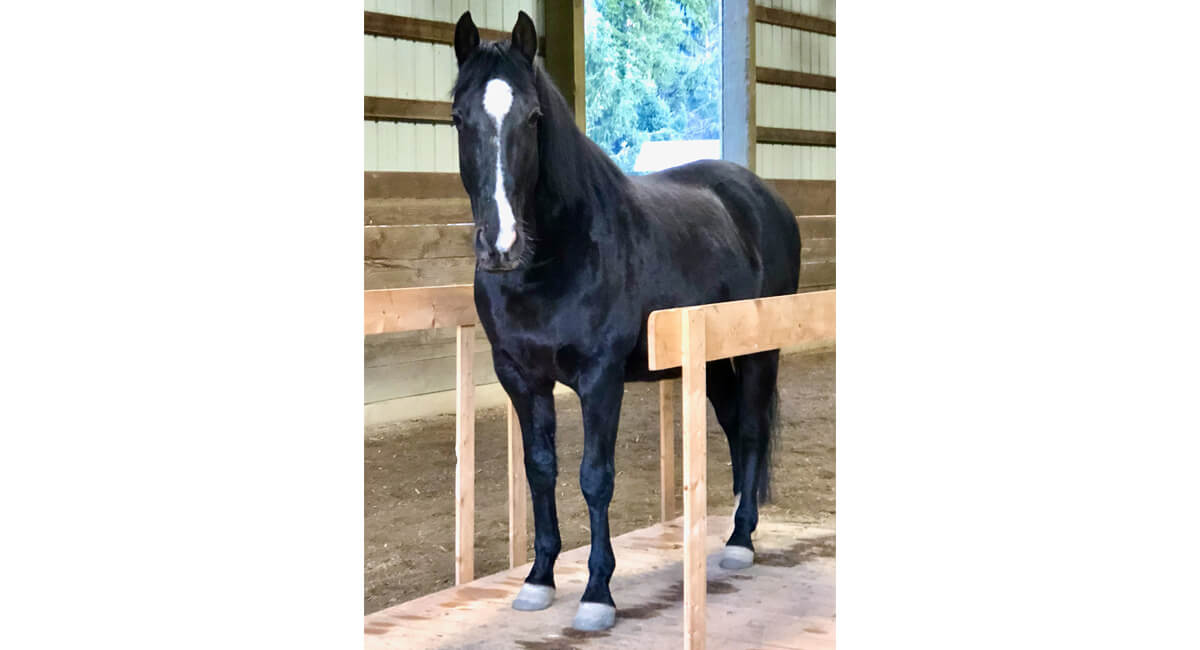 Do whatever you can do