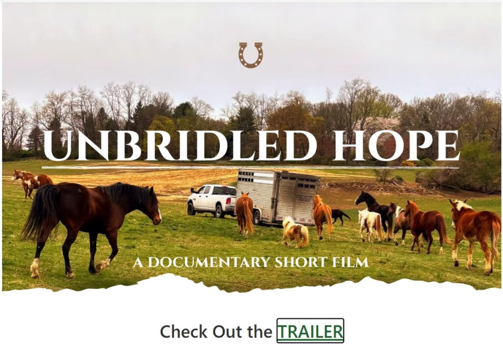 Unbridled Hope