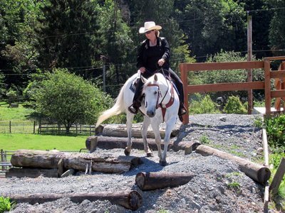 April_n_me_Butlerhill_show_4x6_by_CPlendl Horsewoman riding a white horse through an obstacle course