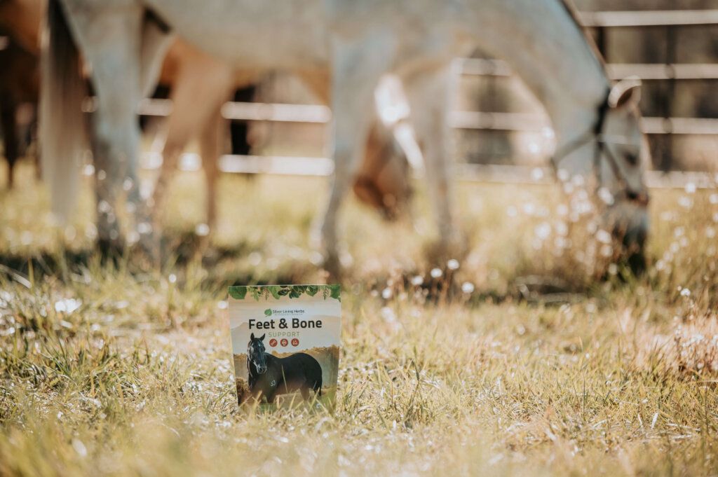 Silver Lining Herbs Feet & Bone Support package in a grassy pasture, with horses grazing in the background.
