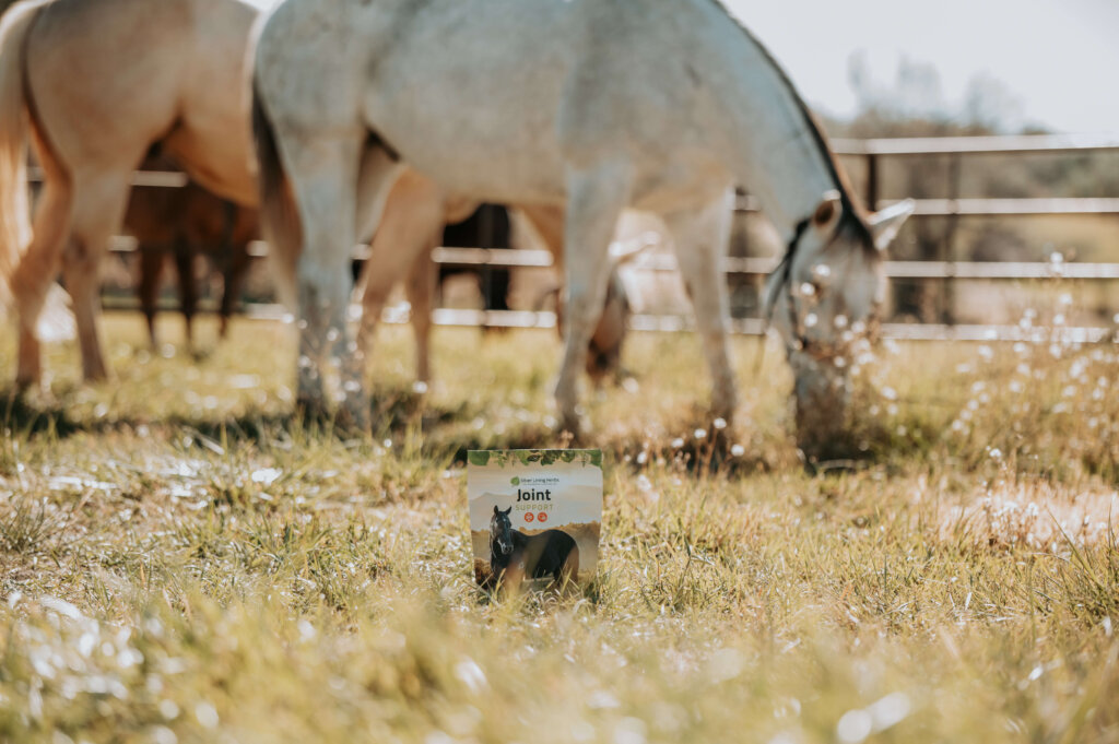 MVZ_5231 Silver Lining Herbs Joint Support package in a grassy pasture, with horses grazing in the background.